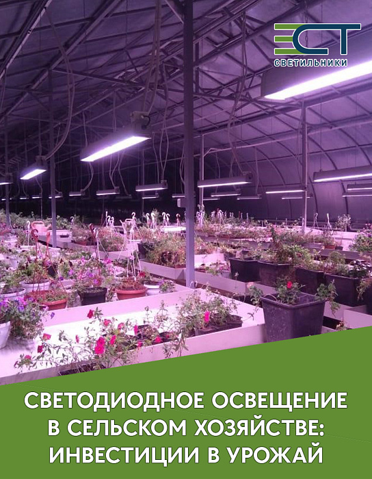 Светодиодное освещение в сельском хозяйстве: инвестиции в урожай